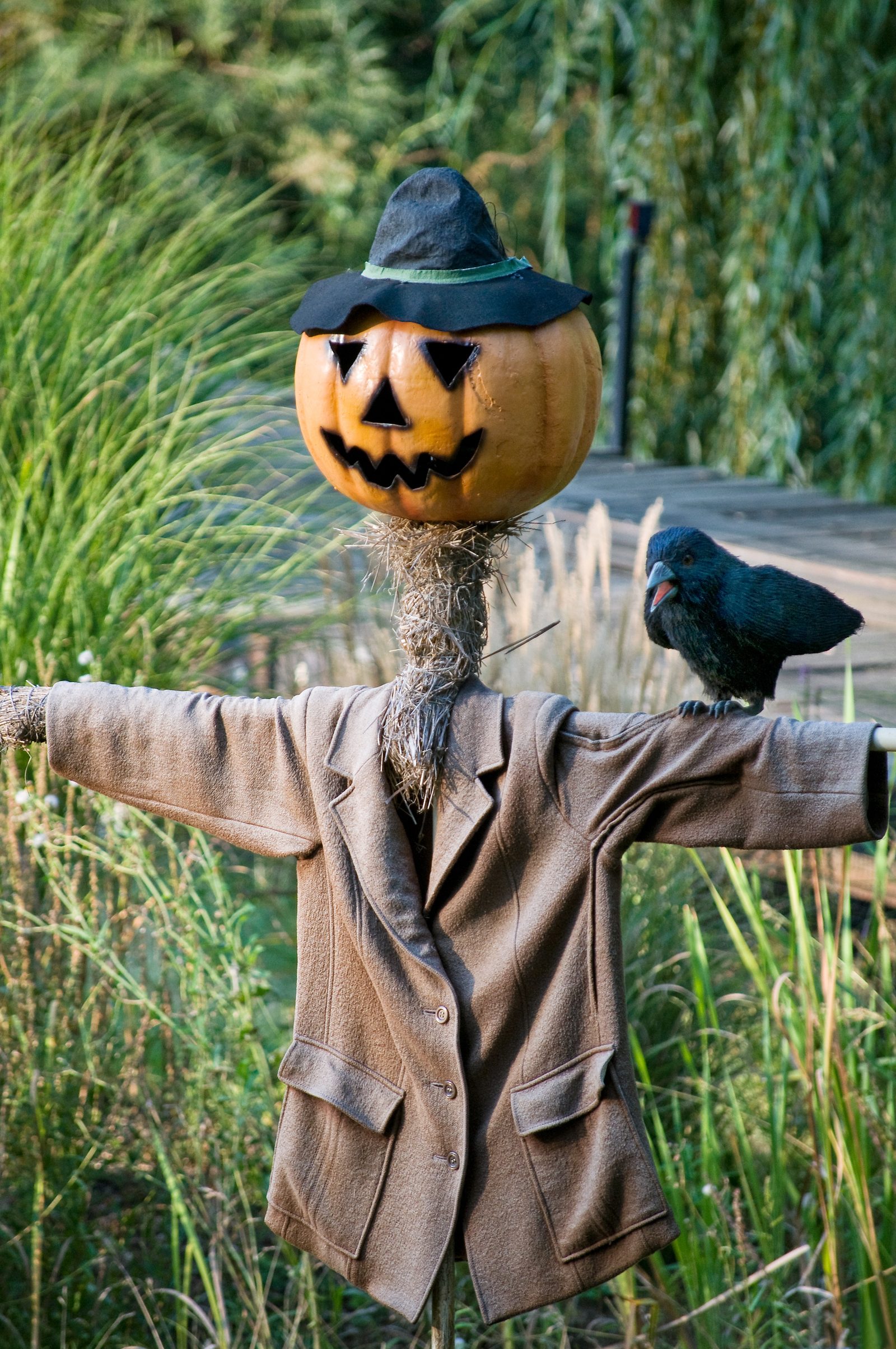 A seasonal scarecrow illustrating the need for active deterrence; Diligence Security provides disciplined Officers for a safe Halloween