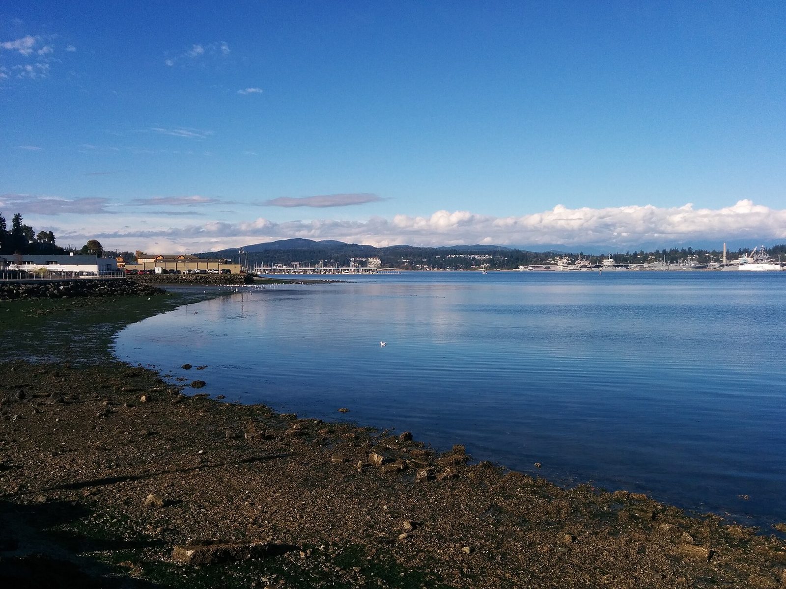 Diligence Security service area of Port Orchard, Washington — local view of Port Orchard in Kitsap County.
